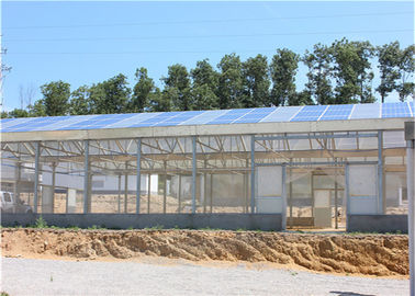 Indoor Greenhouse Solar System Farming Innovative Dynamic Photovoltaic Frameless Panel