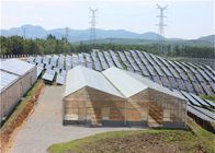High Density Greenhouse Solar System Economical Planting Hot Dip Galvanized Steel Structure