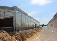 High Density Greenhouse Solar System Economical Planting Hot Dip Galvanized Steel Structure