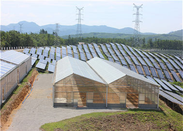良い価格 高密度温室の太陽系の経済的な植わる熱いすくいの電流を通された鉄骨構造 オンライン