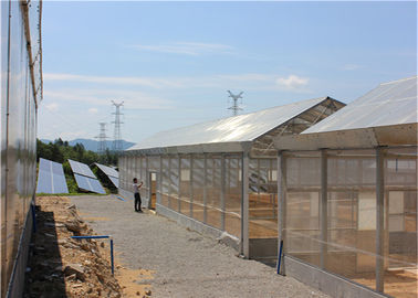 良い価格 屋根によって取付けられる温室の太陽系の光起電発電所の農業の穀物 オンライン