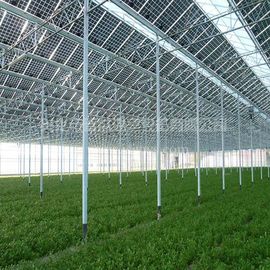 良い価格 商業温室の太陽系の電力の電流を通された表面処理 オンライン