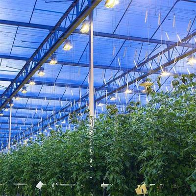 良い価格 統合されたPVのパネル取り付けシステム温室の薄膜モジュール サポート構造 オンライン