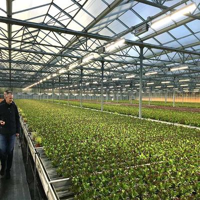 良い価格 耐食性の農業のSolar Energy温室2.0mm 2.5mmの厚さ オンライン