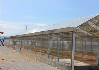 良い価格 農業、植物の農場太陽PVの土台システムのための地上の太陽系 オンライン