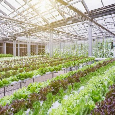 良い価格 10-60 °の横の縦の温室の太陽系36.9m/Sの風負荷 オンライン