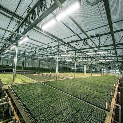 良い価格 フレームの屋外の潅漑の農業の太陽動力を与えられた温室 オンライン