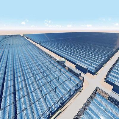 良い価格 熱いすくいは温室のための鋼鉄光起電取付けシステムに電流を通した オンライン