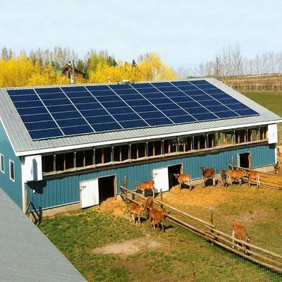 良い価格 温室のための電流を通された地上の取付けられた太陽系 オンライン